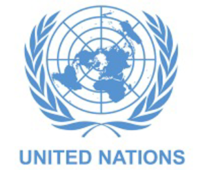 2026 United Nations UNDP Internship for Students and Graduates– Edugist