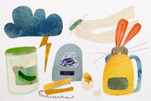 What Were the Funniest Stories of the School Year? We Asked Educators