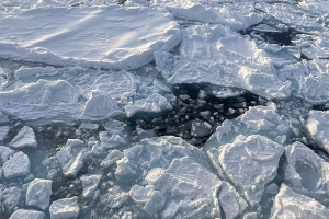Arctic winter sea ice returns to significant decline