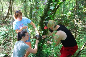 Southampton launches student New Forest programme