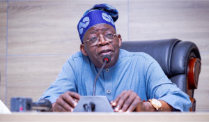 Tinubu Selects Adelabu Substantive Rector of Federal Polytechnic Ayede– Edugist